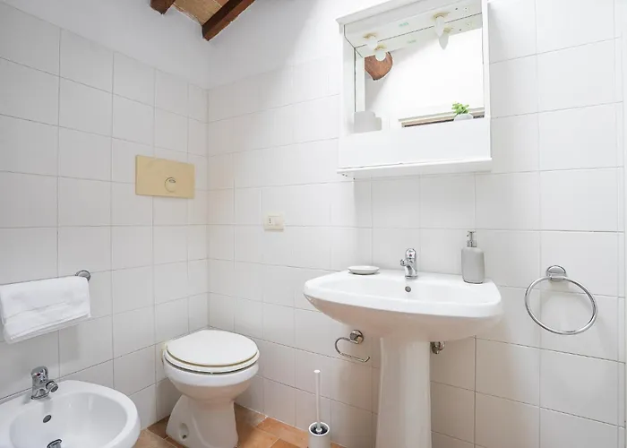 Guesthost - Quiet And Peaceful - *